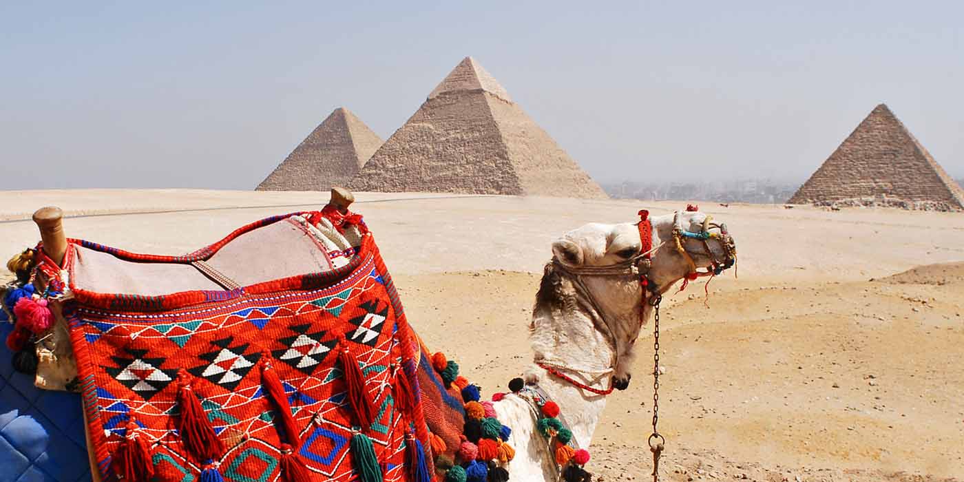 private TouThe Egyptian travel guider Cairo Luxor and Aswan.
